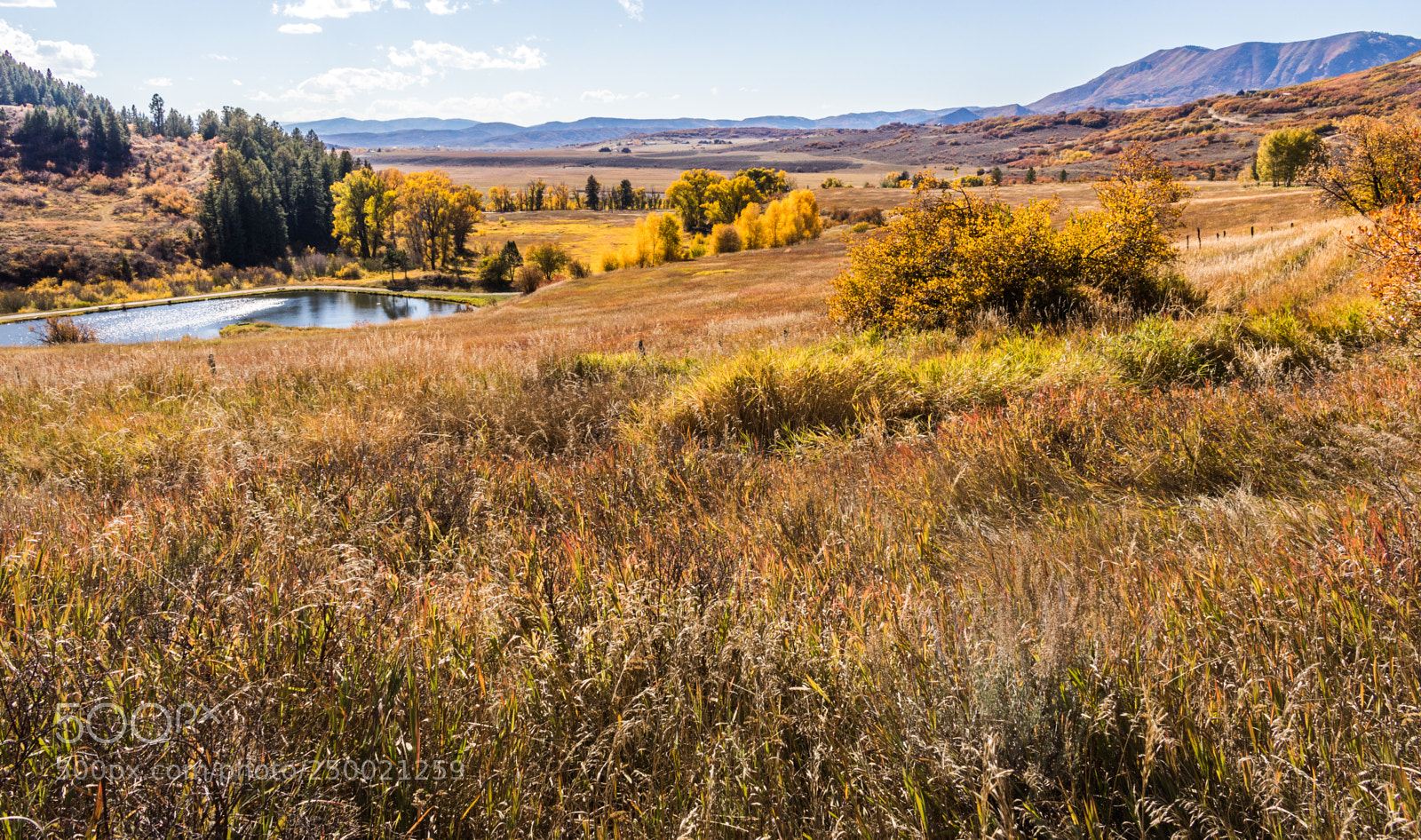 Canon EOS 80D sample photo. Autumn grassland photography