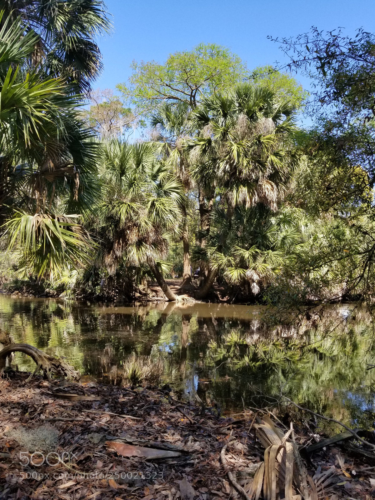 Samsung Galaxy S8+ sample photo. Untitled photography