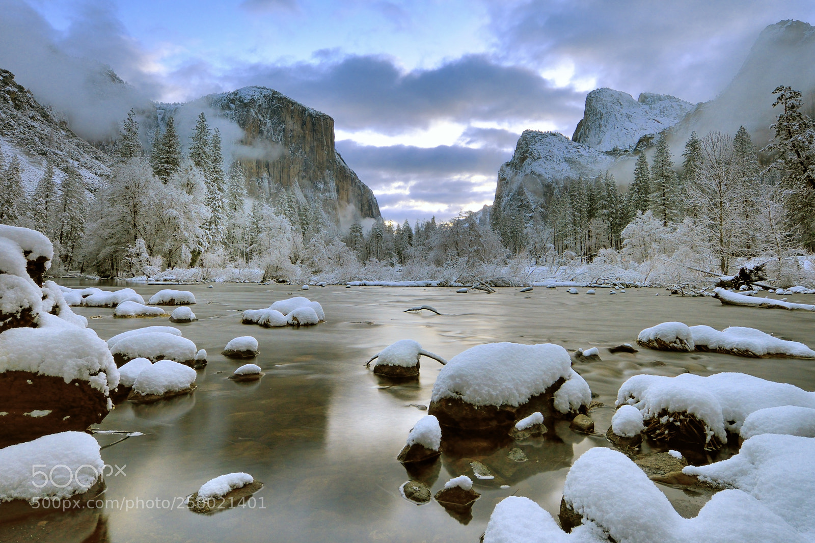 Nikon D800E sample photo. Yosemite winter morning photography