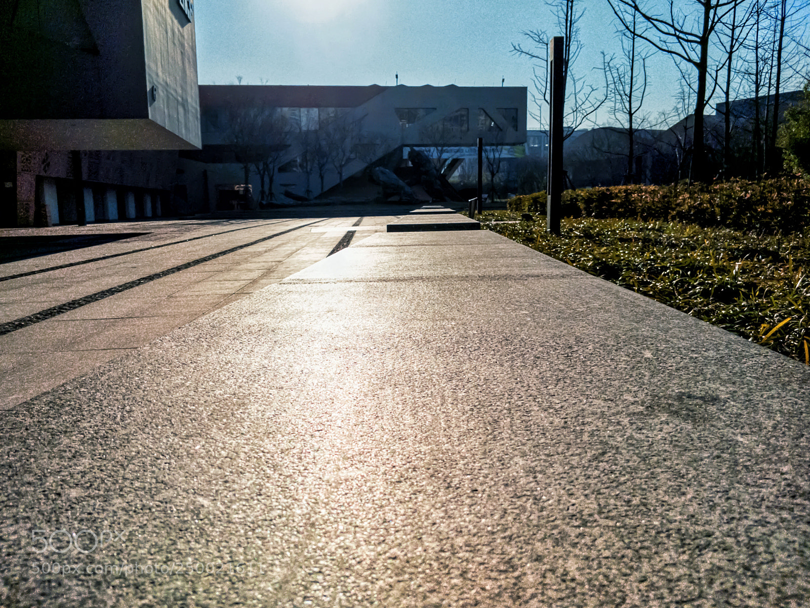 OnePlus 5 sample photo. Under the sun photography