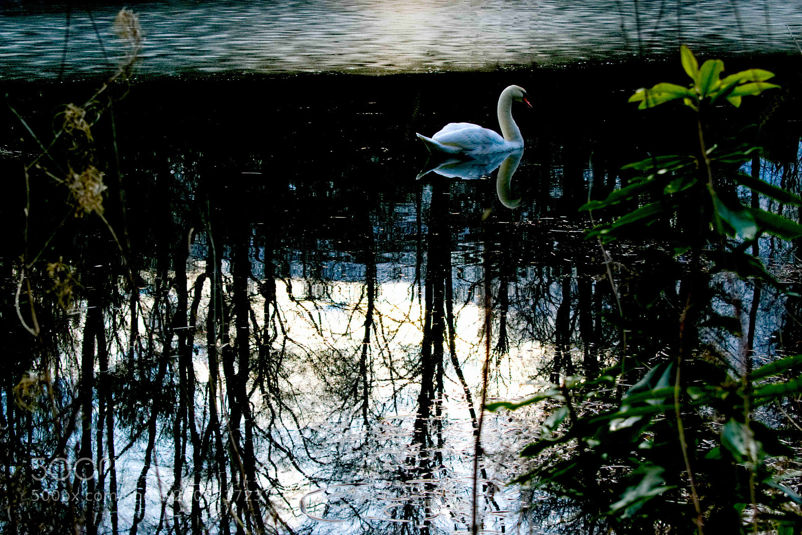 Nikon D3300 sample photo. Untitled photography