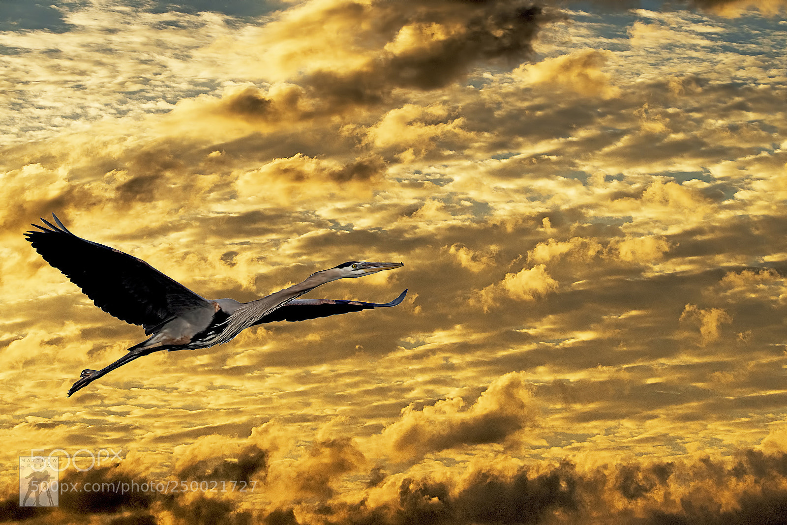 Nikon D810 sample photo. Morning clouds 1682 photography