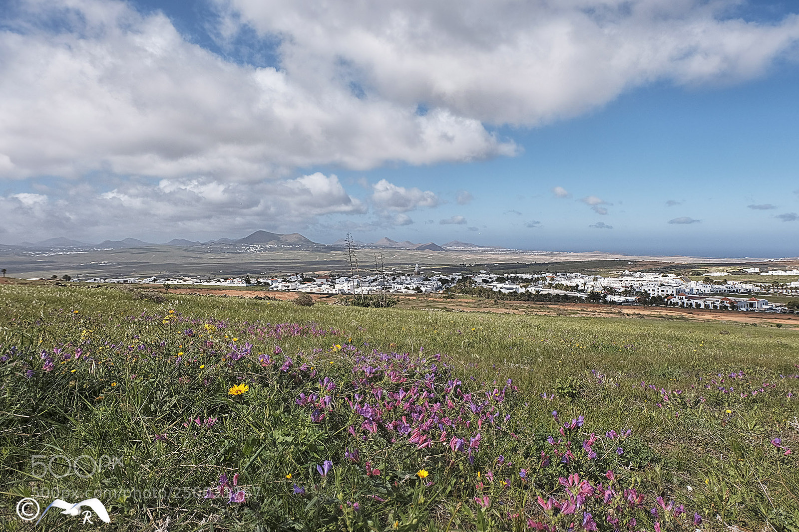 Fujifilm X-T20 sample photo. Teguise photography
