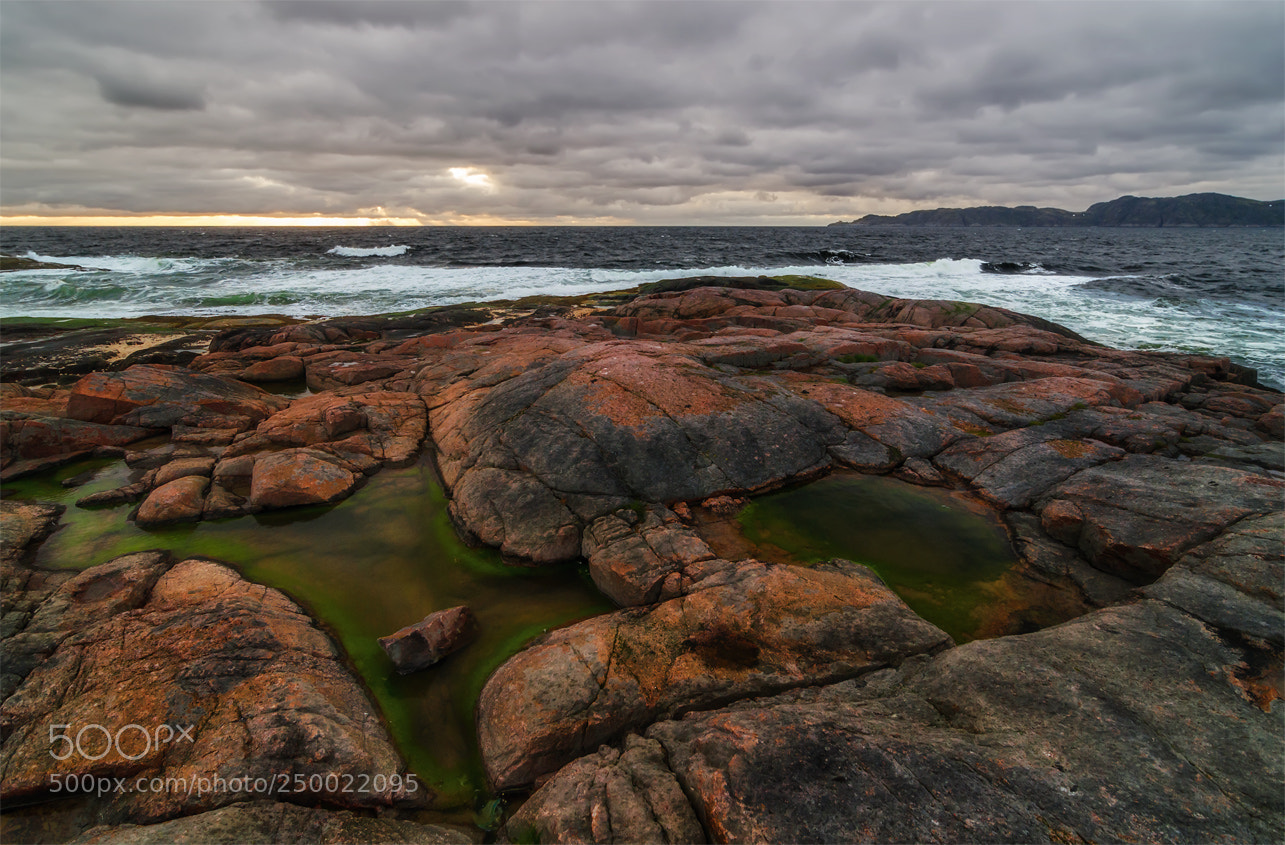Nikon D5100 sample photo. Barents sea photography