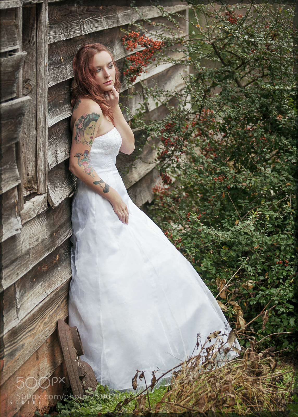 Canon EOS-1D Mark III sample photo. Lil cottage on the photography