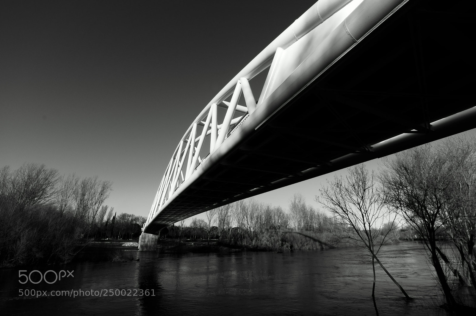 Sony SLT-A58 sample photo. Bridge. photography