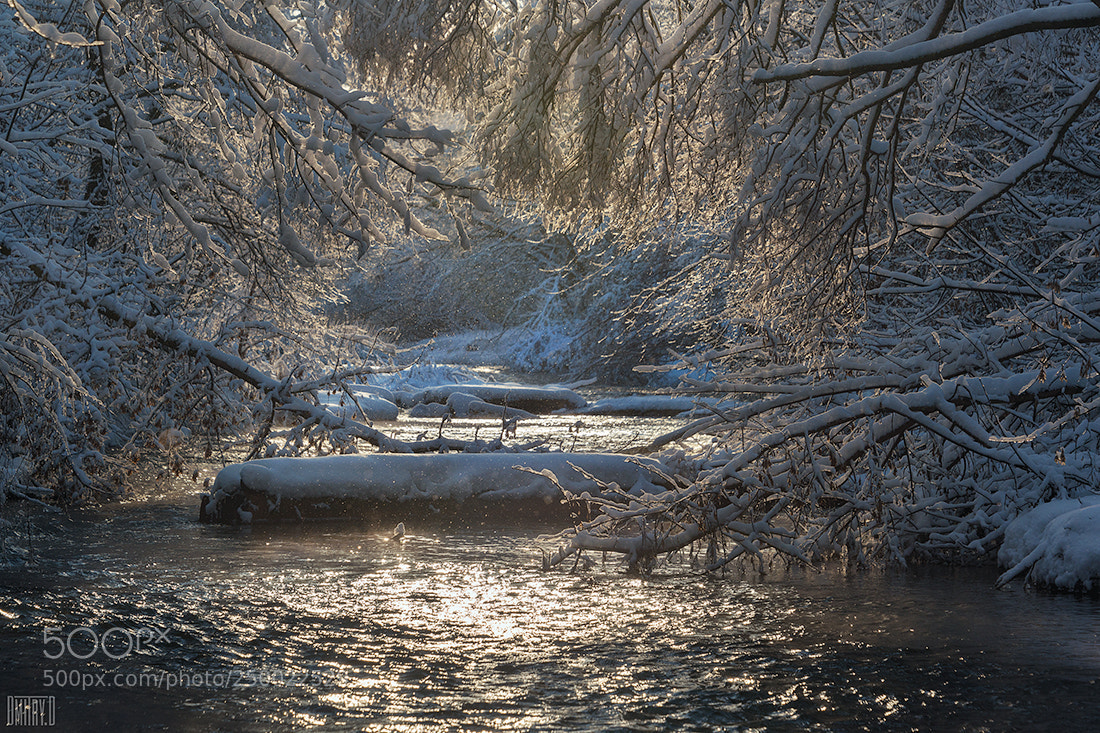 Nikon D800 sample photo. Тоннель photography