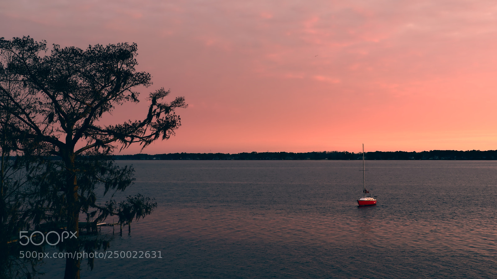 Nikon D3300 sample photo. Lone sailboat photography
