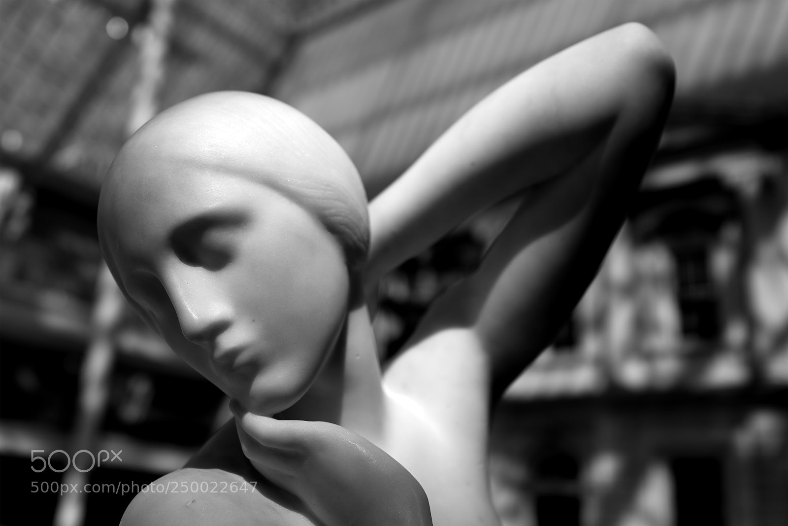 Sony Cyber-shot DSC-RX1R II sample photo. Fragilina photography
