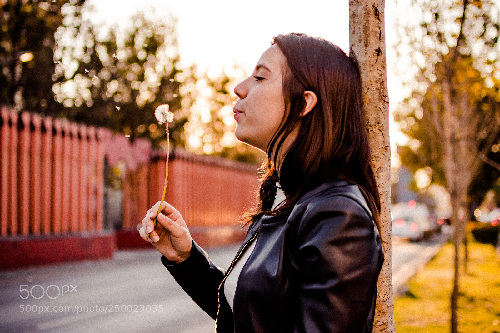 Nikon D7200 sample photo. Victoria. photography