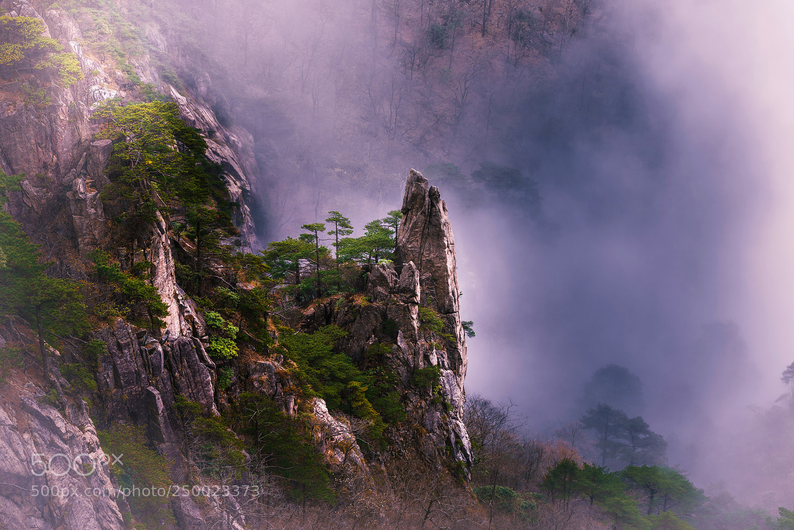 Nikon D800 sample photo. Yellow mountain in mist photography