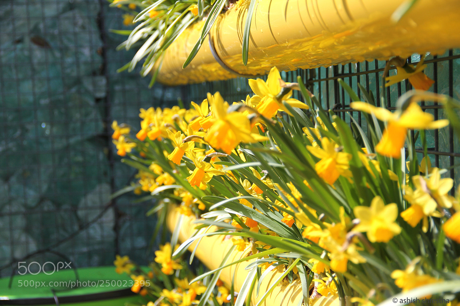 Canon EOS 60D sample photo. Spring photography