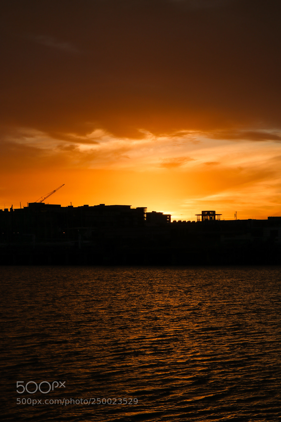 Canon EOS 80D sample photo. Orange photography