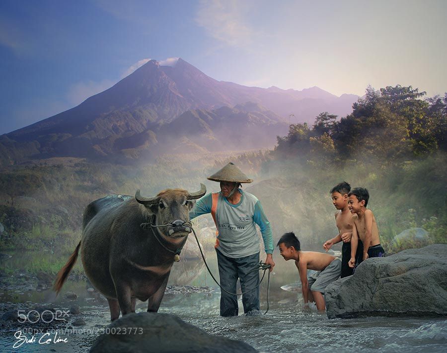 Canon EOS 600D (Rebel EOS T3i / EOS Kiss X5) sample photo. Buffalow bath photography