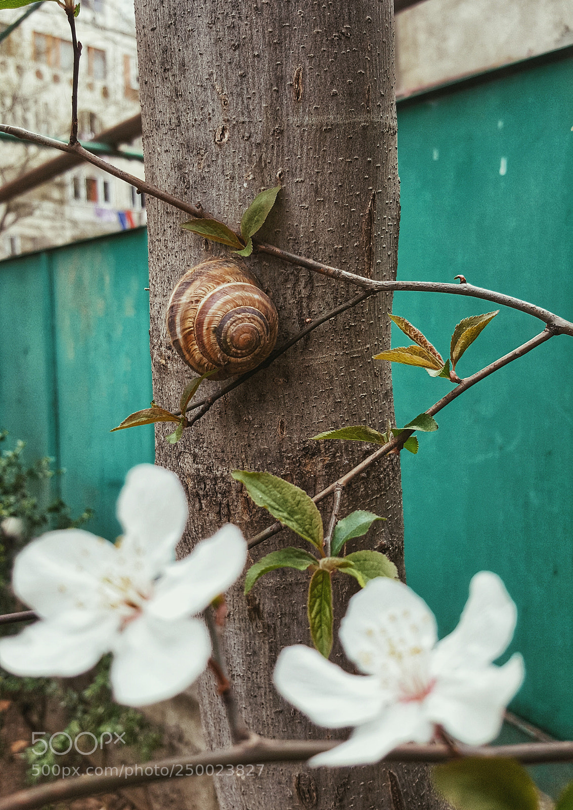 Samsung GALAXY S6 edge sample photo. Untitled photography