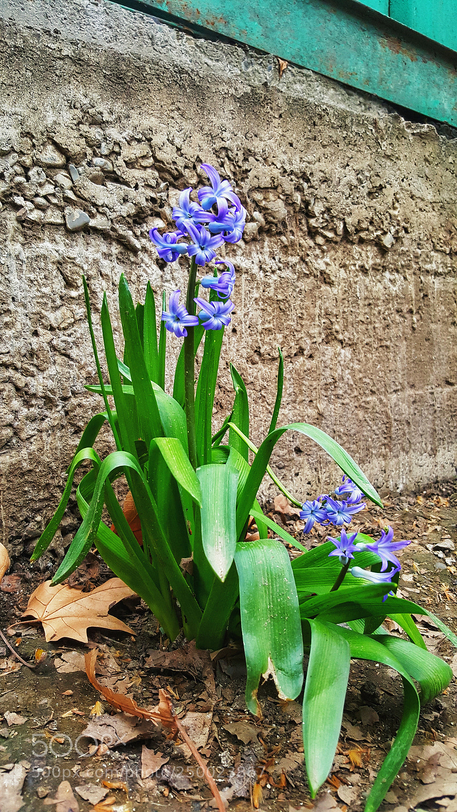 Samsung GALAXY S6 edge sample photo. Untitled photography