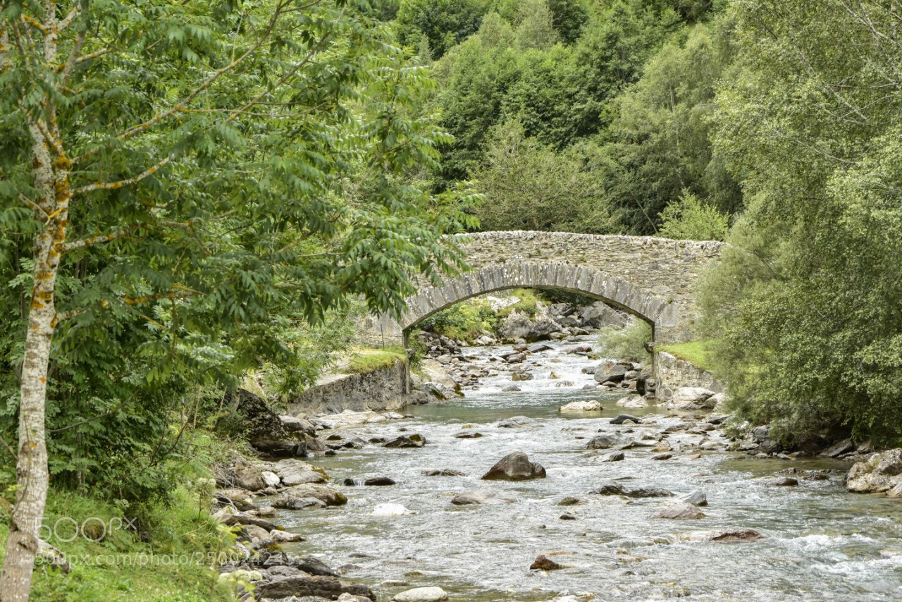 Nikon D7200 sample photo. Puente de piedra photography
