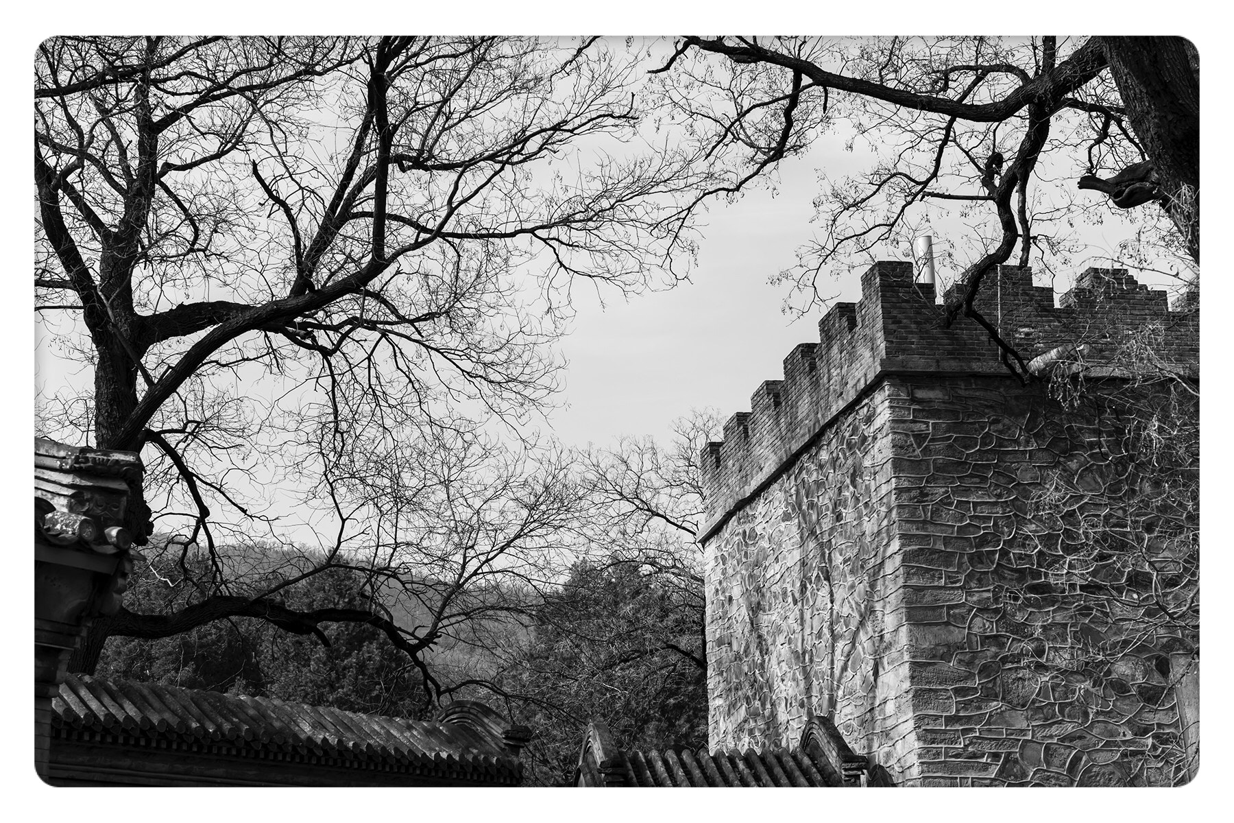 Leica M-Monochrom sample photo. 无题 photography