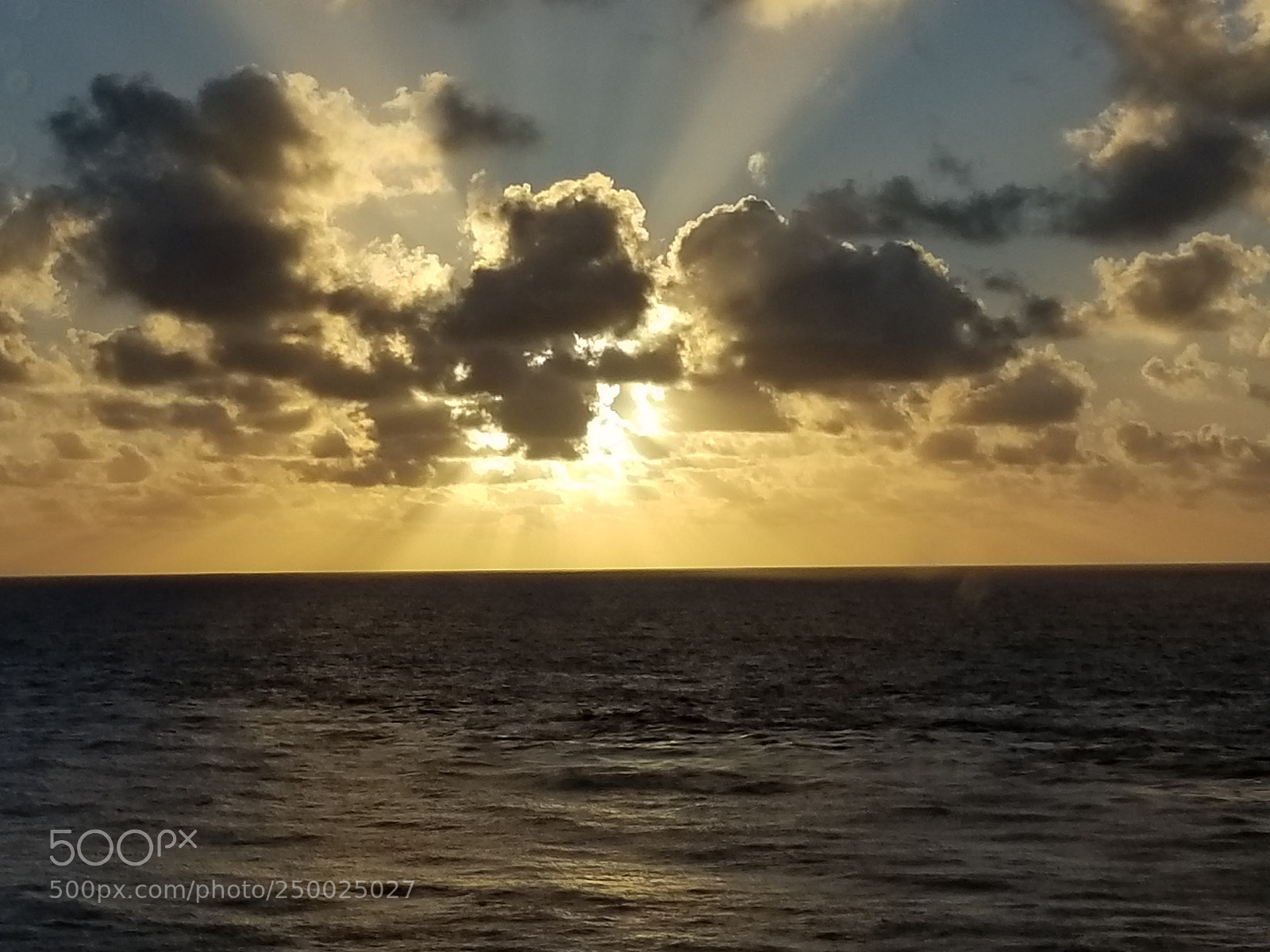 Samsung Galaxy S8+ sample photo. Untitled photography