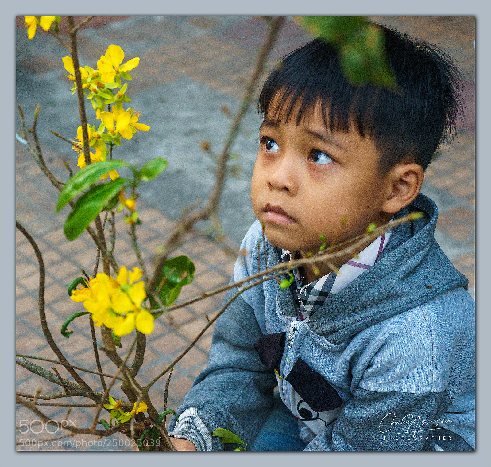 Sony a7 sample photo. Maitet photography