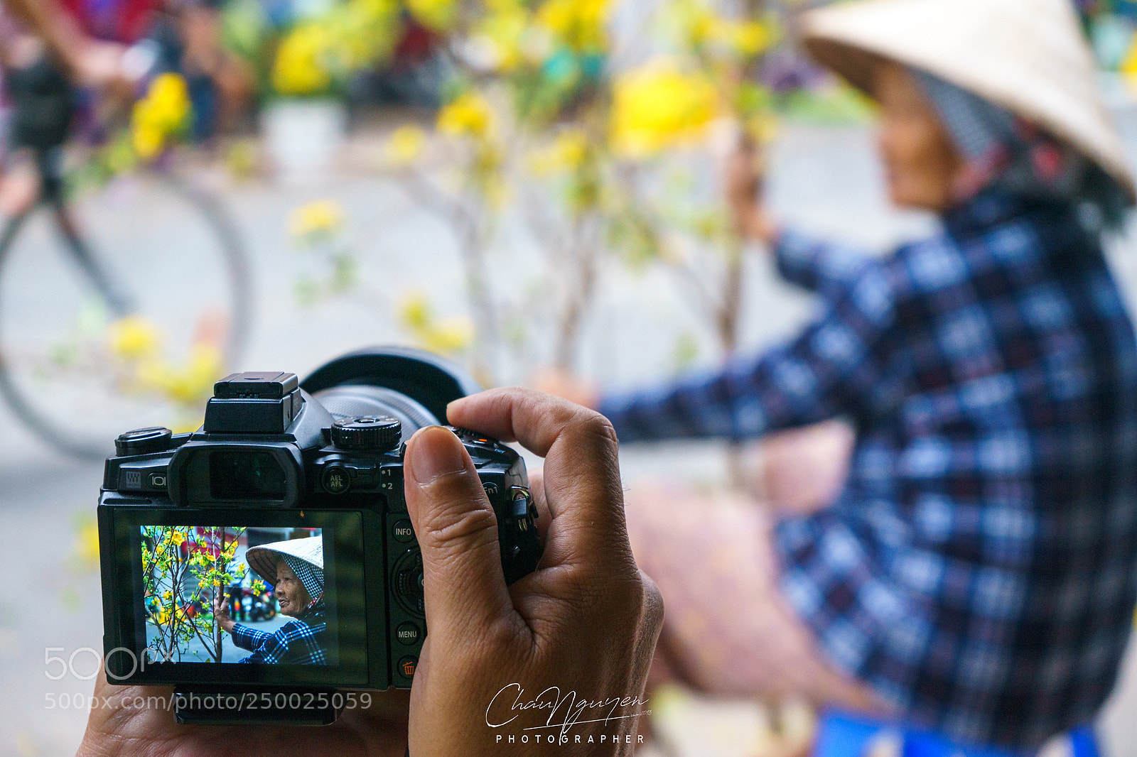 Sony a7 sample photo. Maitet photography