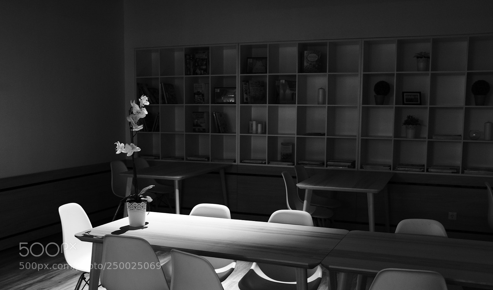 Fujifilm X100F sample photo. In the library photography