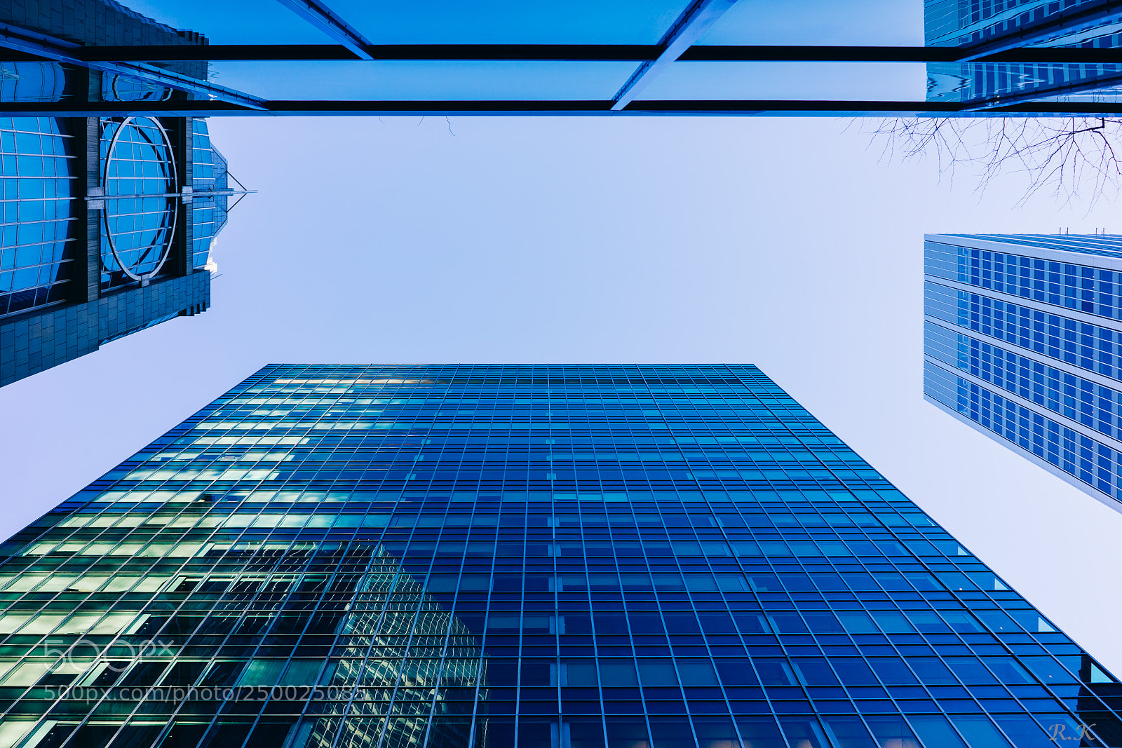Sony a7R sample photo. Wake up and look photography