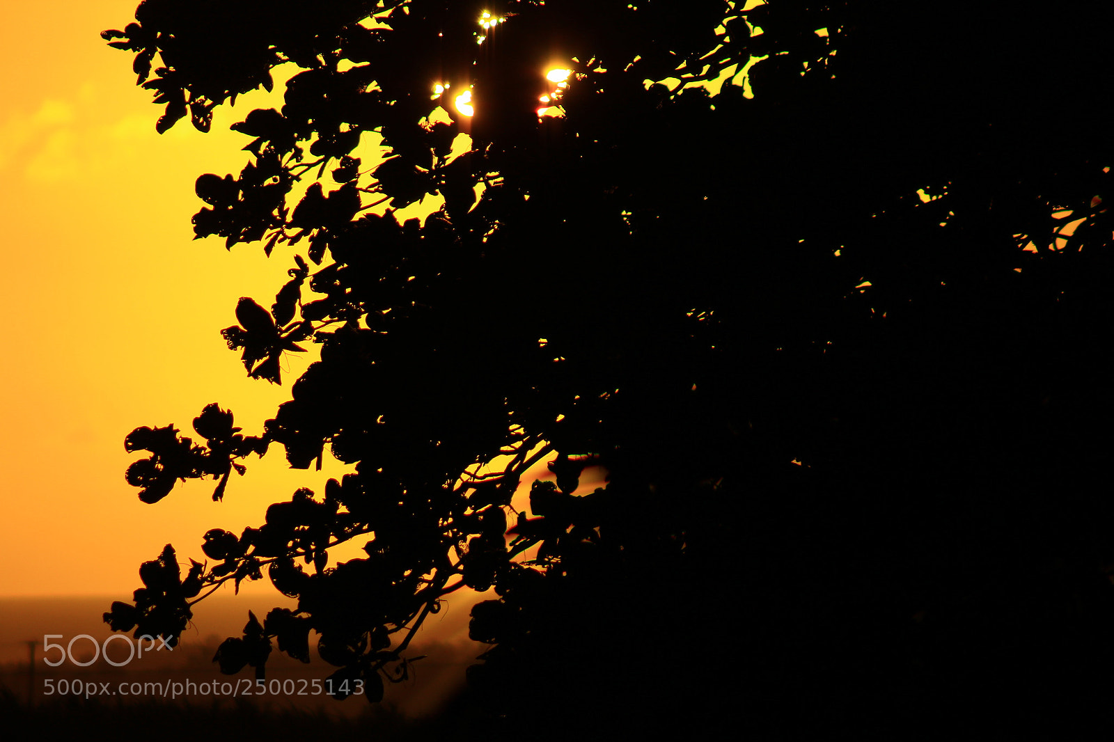 Canon EF 75-300mm f/4-5.6 sample photo. Untitled photography