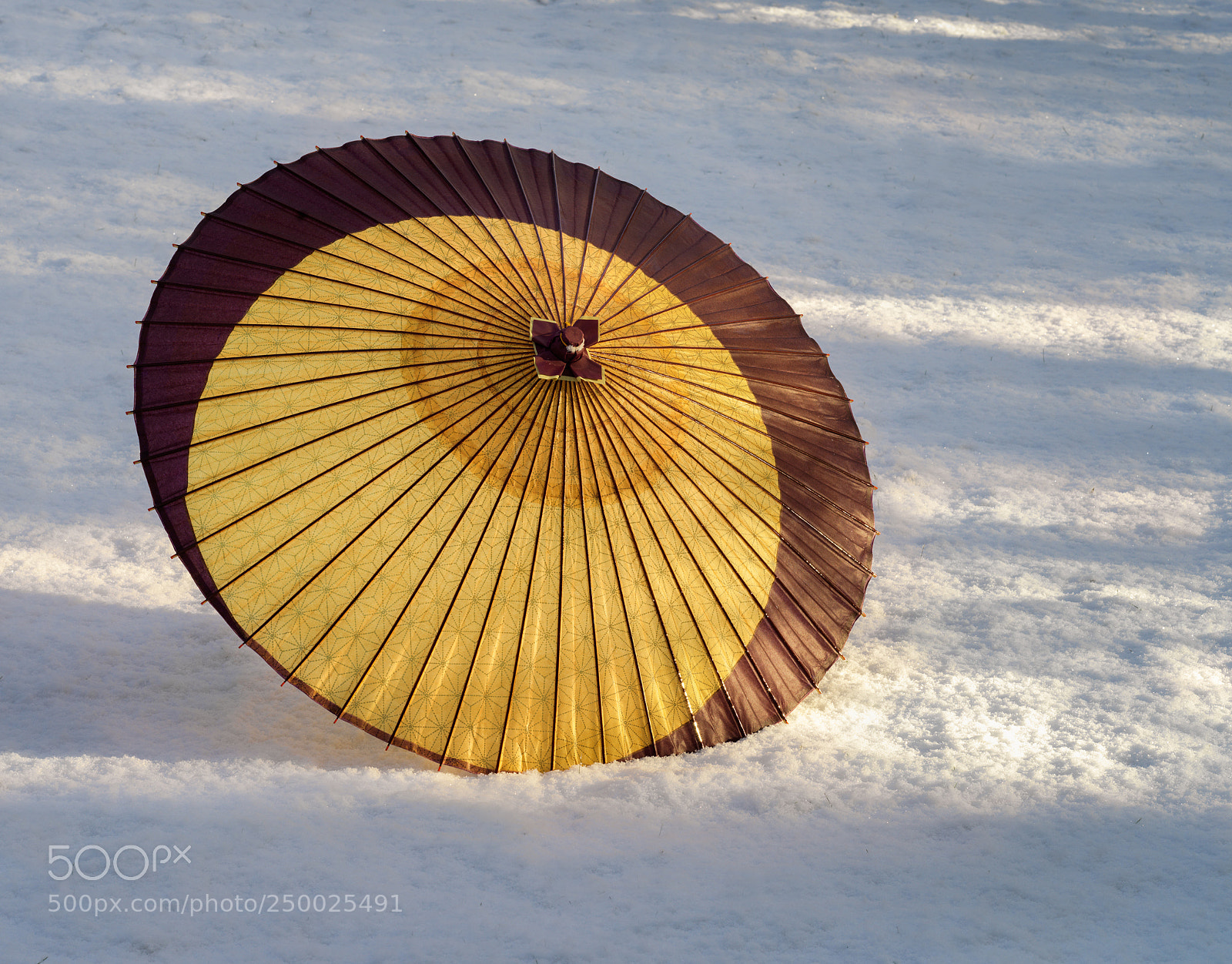 Hasselblad X1D-50c sample photo. Snow umbrella photography