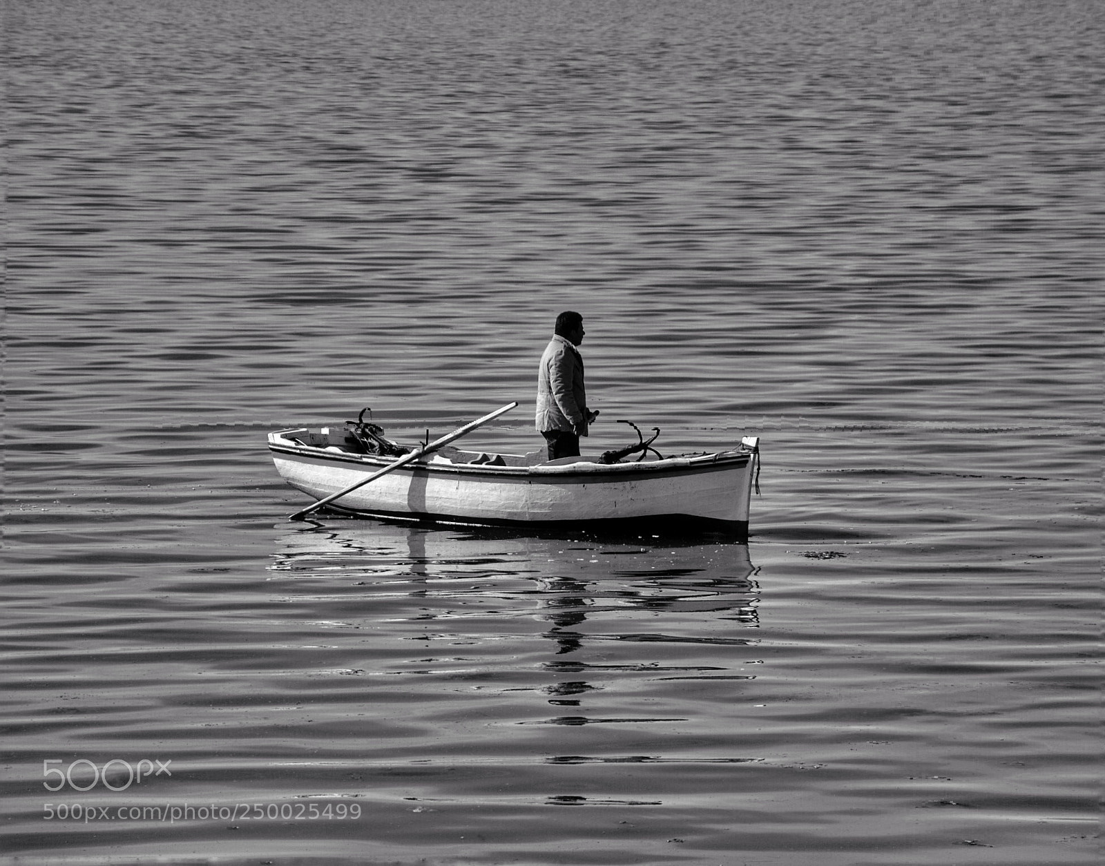 Nikon D3100 sample photo. Untitled photography