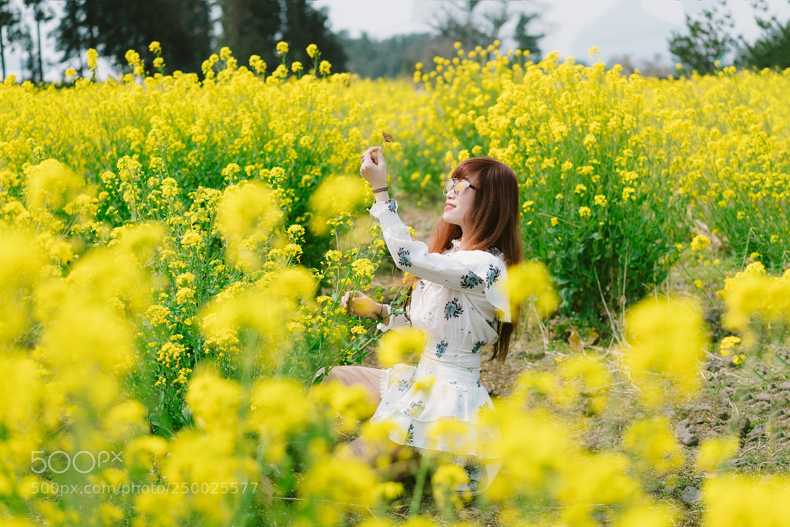 Sony a7R II sample photo. Jeju spring photography