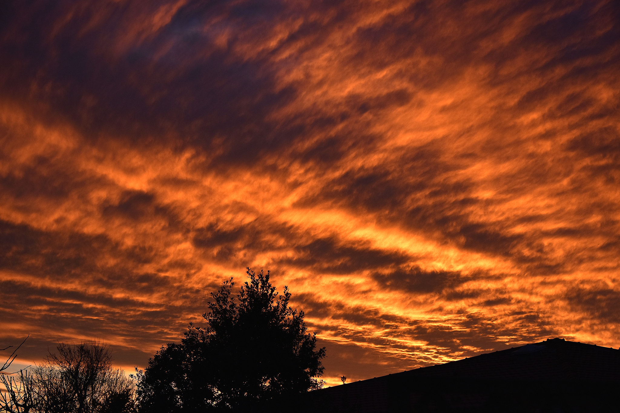 Nikon D810 sample photo. Cielo ardente photography