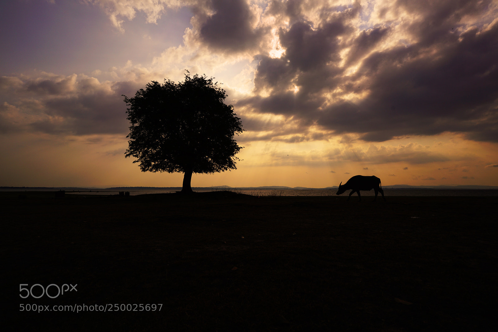 Sony a7R II sample photo. Silhouette photography