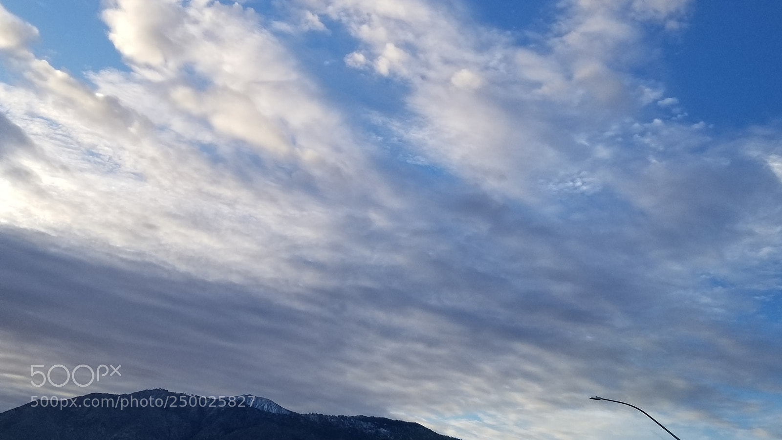 Samsung Galaxy S8+ sample photo. Untitled photography