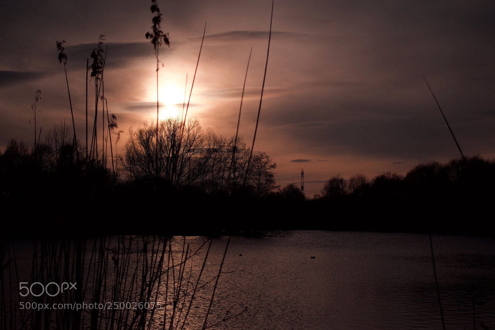 Nikon D5600 sample photo. Sunset photography