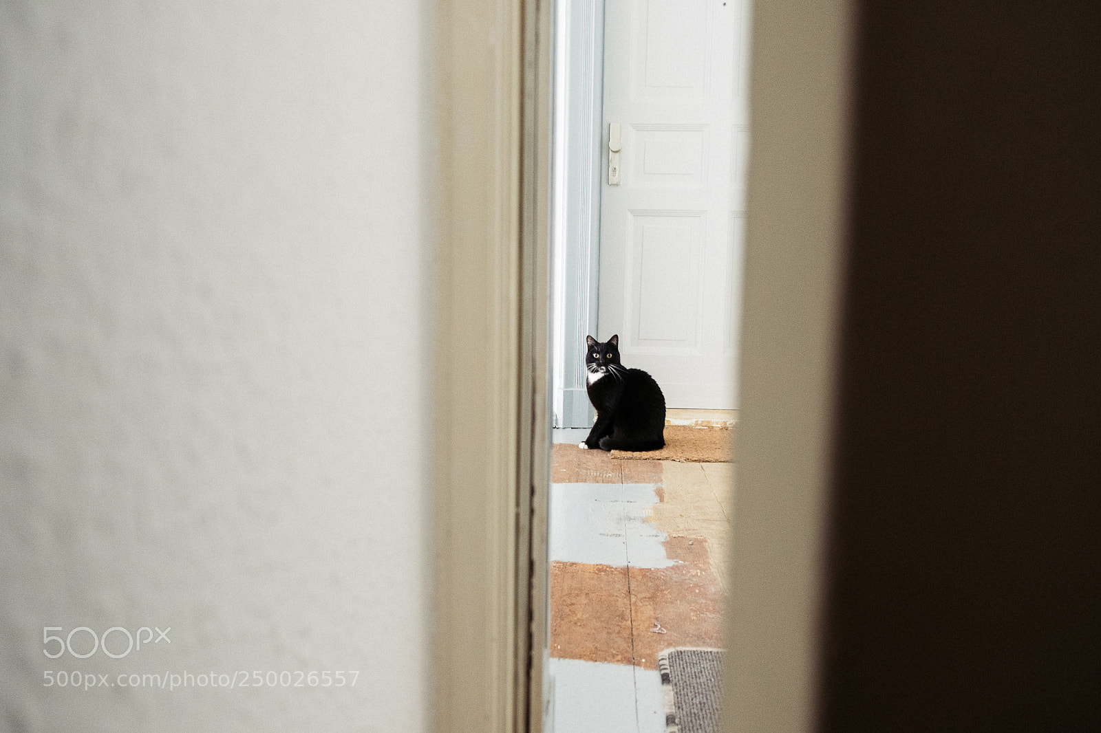 Fujifilm X-T2 sample photo. This is marley photography
