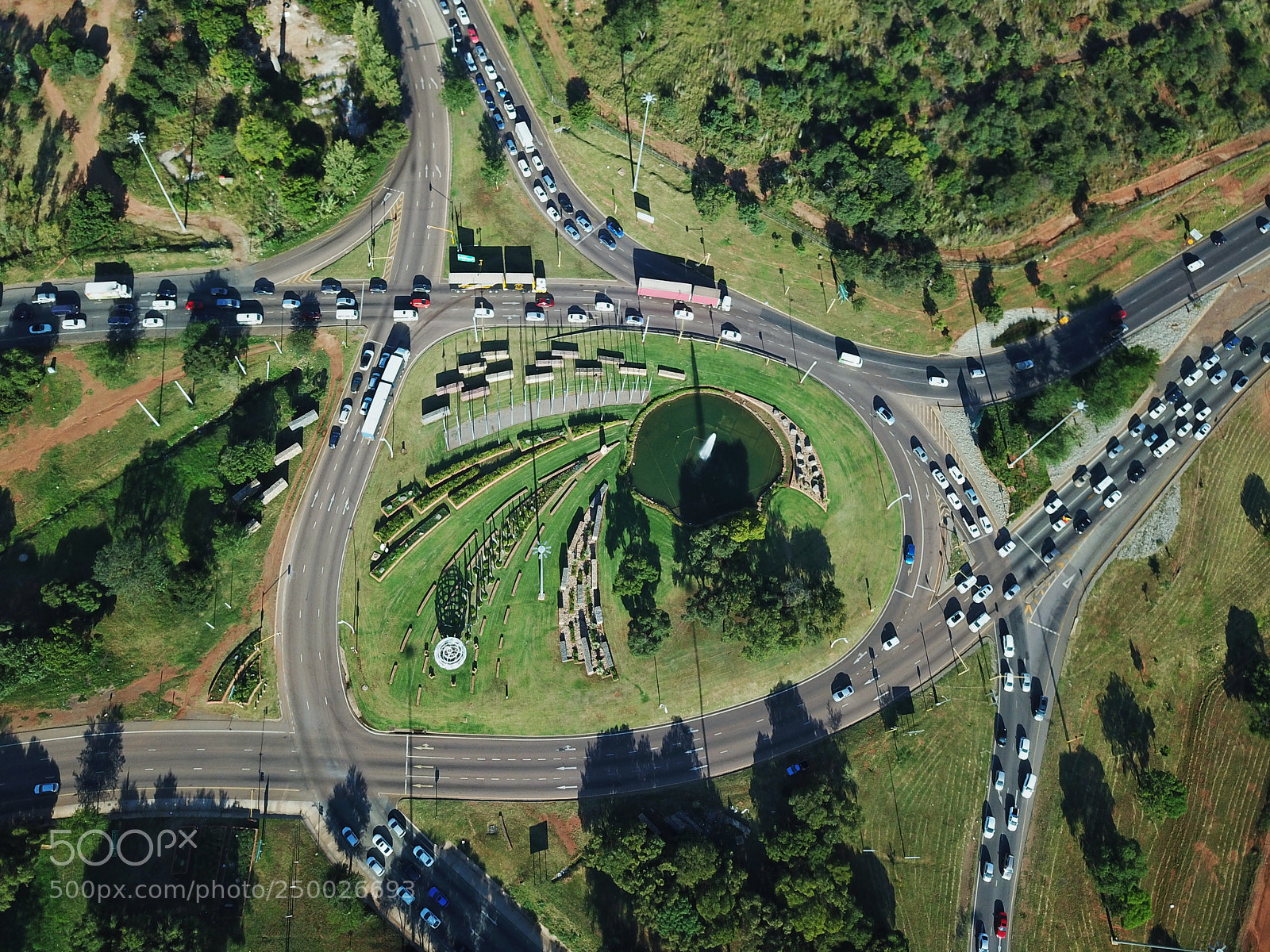 DJI FC220 sample photo. Eagle's pupil photography