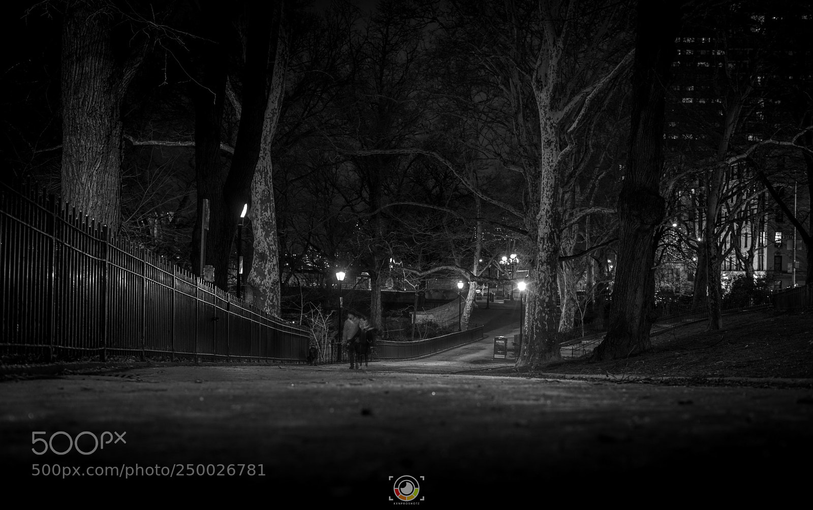 Sony a7 II sample photo. Romantic walk photography