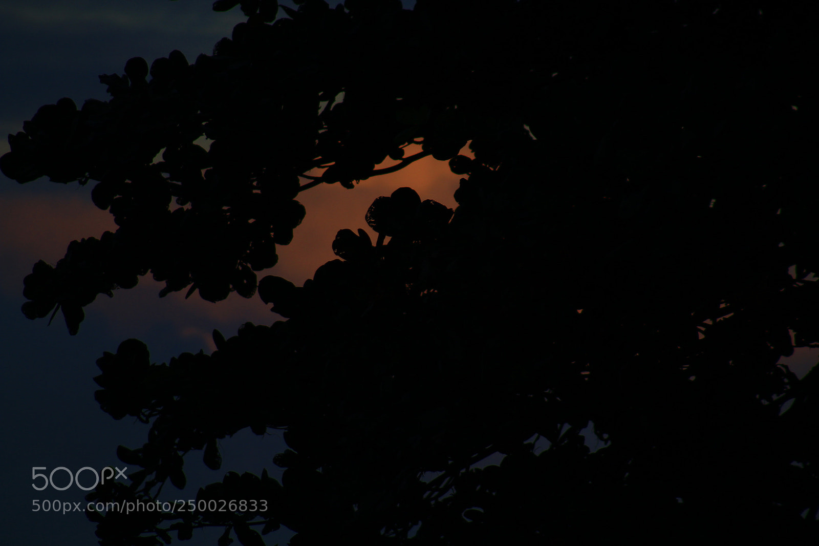 Canon EF 75-300mm f/4-5.6 sample photo. At dusk photography