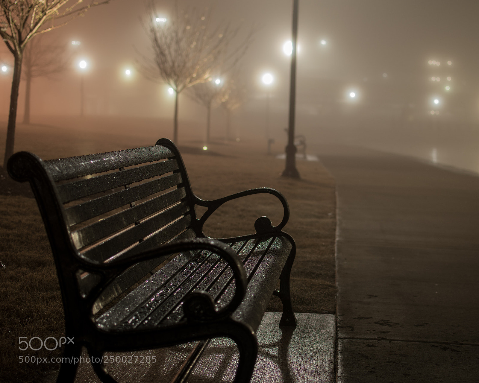 Nikon D5500 sample photo. Park bench photography
