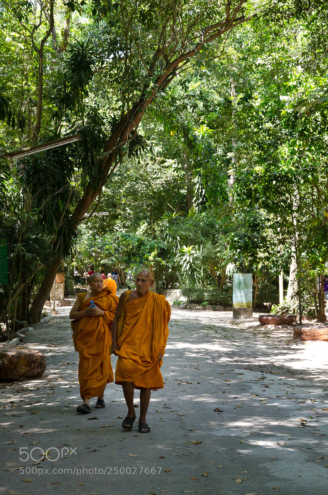 Nikon D7000 sample photo. Buddhist monks in thailand photography