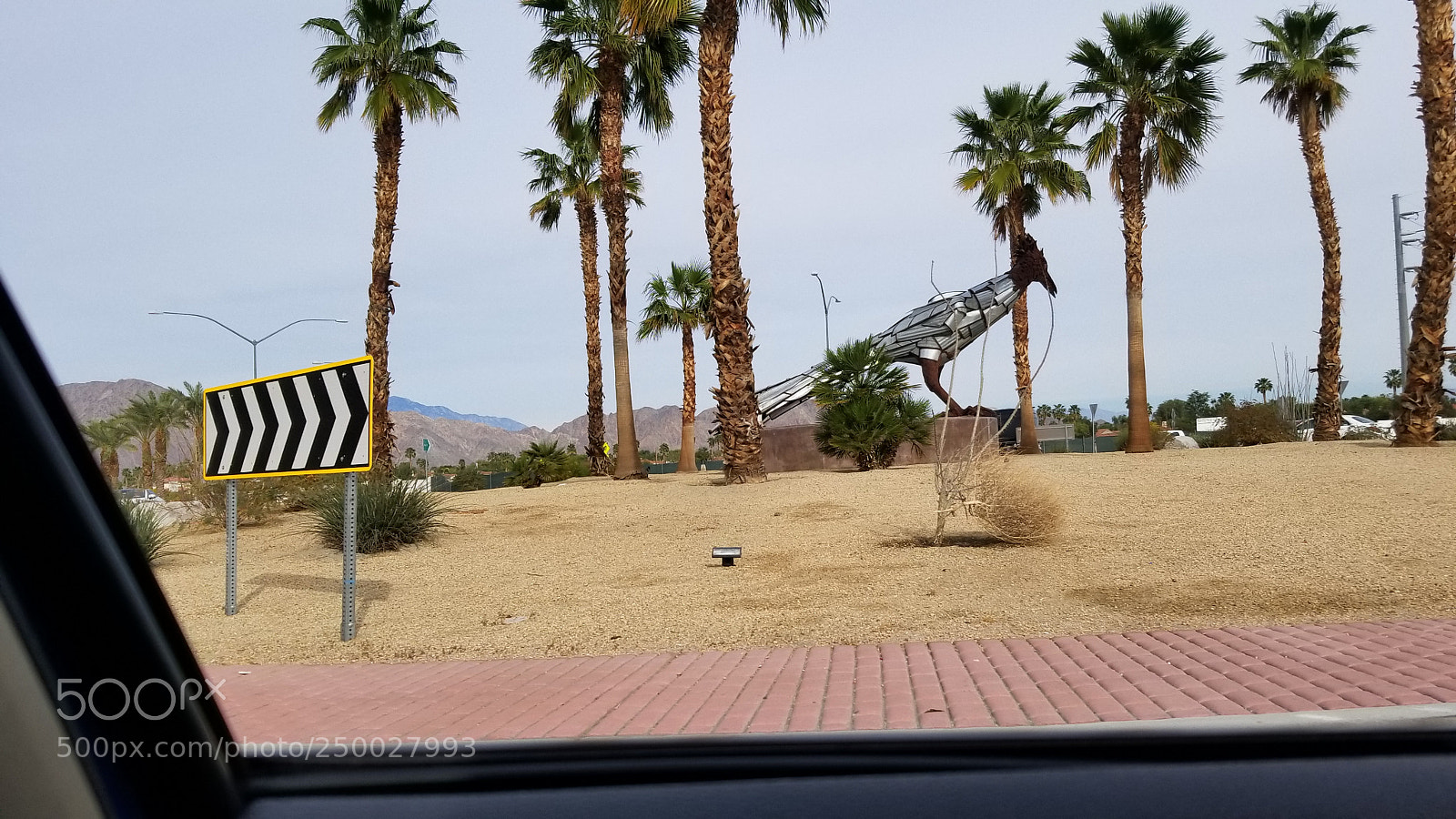 Samsung Galaxy S8+ sample photo. Untitled photography