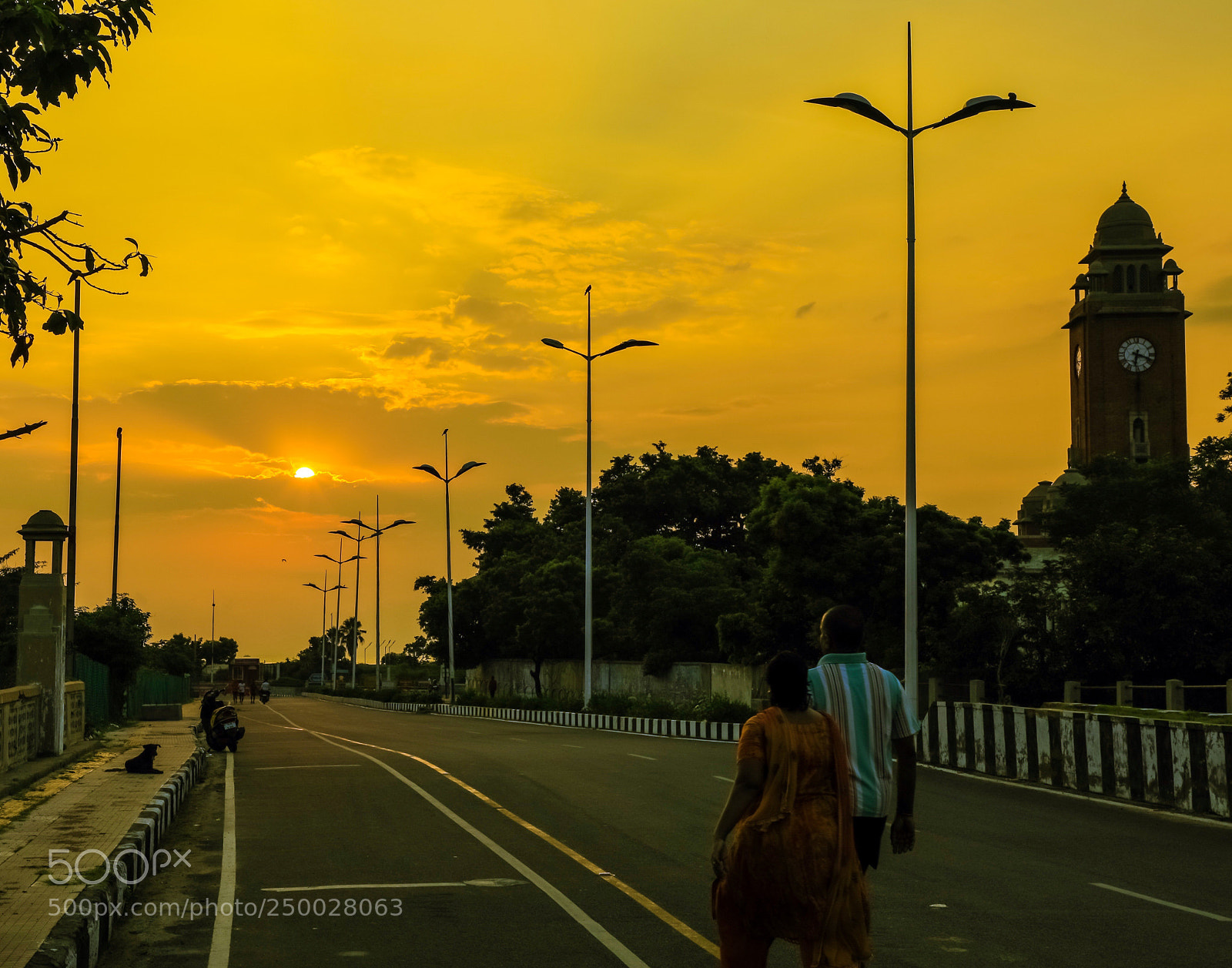 Canon EOS 5D Mark IV sample photo. Morning scenes photography
