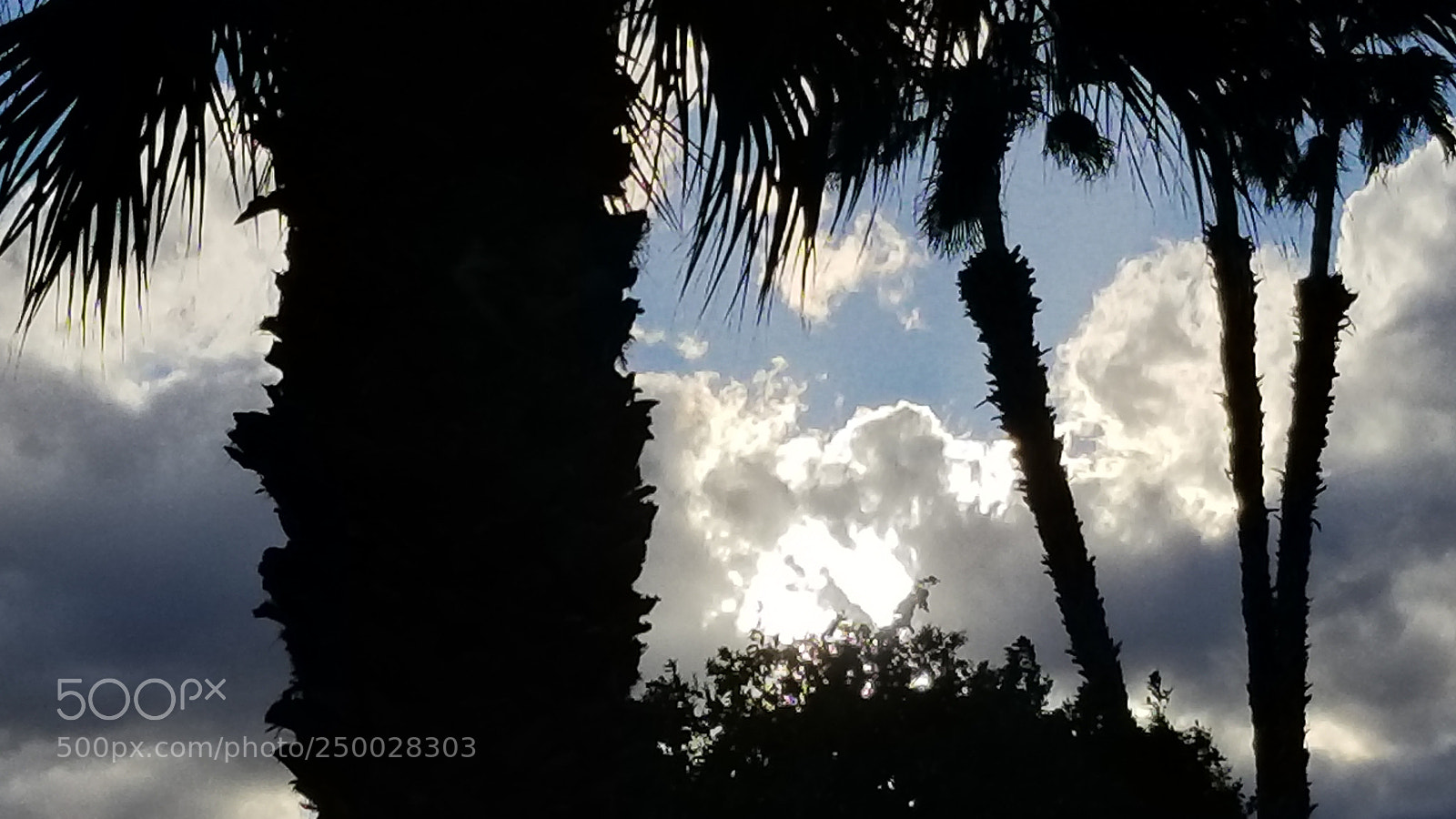 Samsung Galaxy S8+ sample photo. Untitled photography