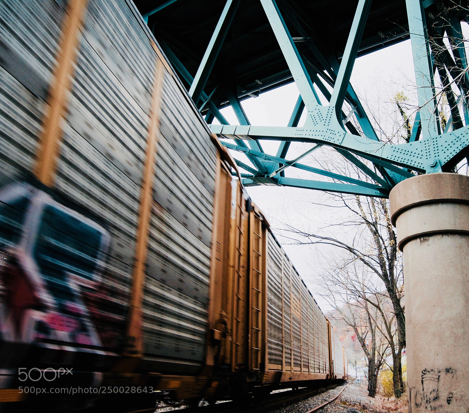 Nikon D3100 sample photo. Passing photography