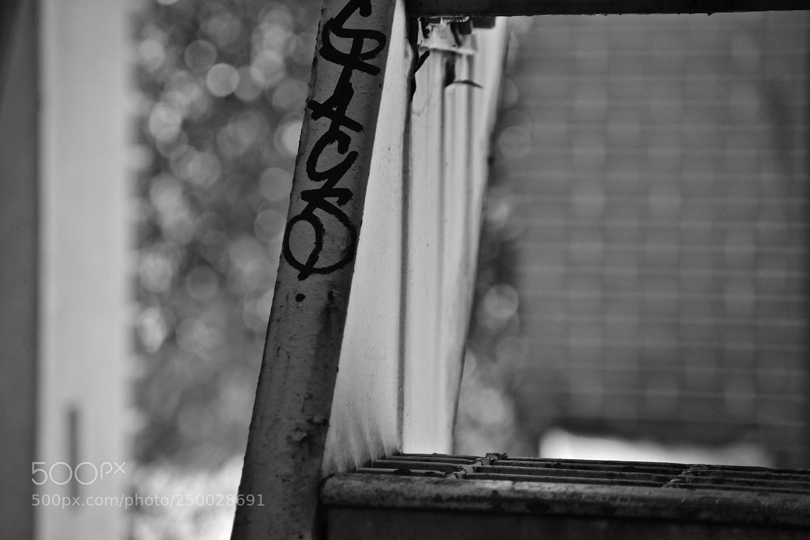 Nikon D3100 sample photo. Ladder photography