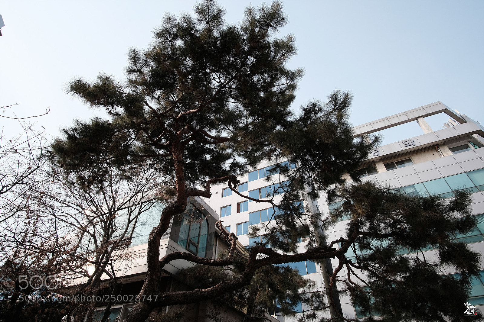 Fujifilm X-T2 sample photo. Daily snap photography