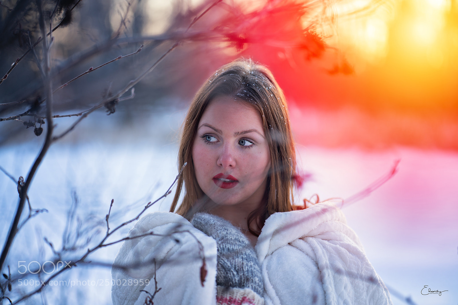 Sony a7R II sample photo. Winter is almost over  photography