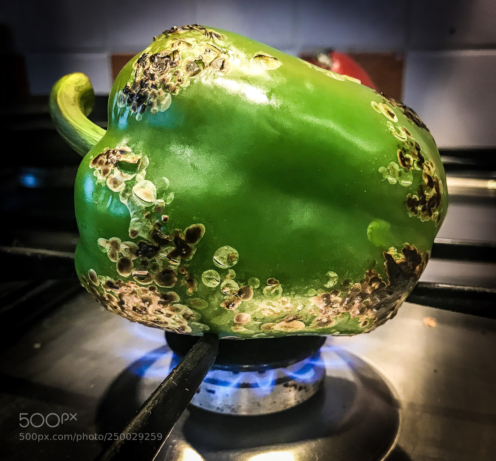 Apple iPhone 7 Plus sample photo. Charred green pepper photography