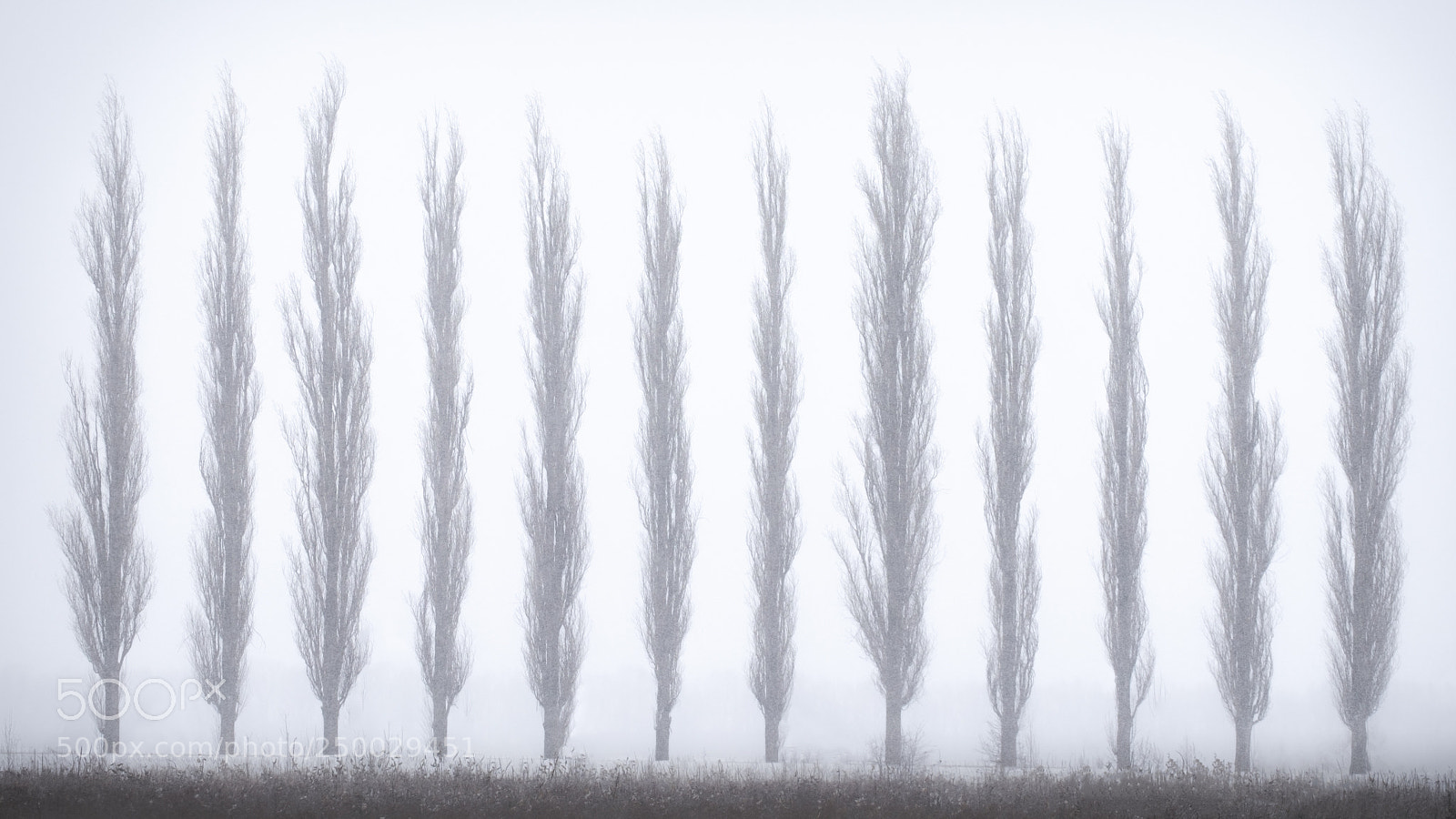 Fujifilm X-T1 sample photo. Winter rhythm photography